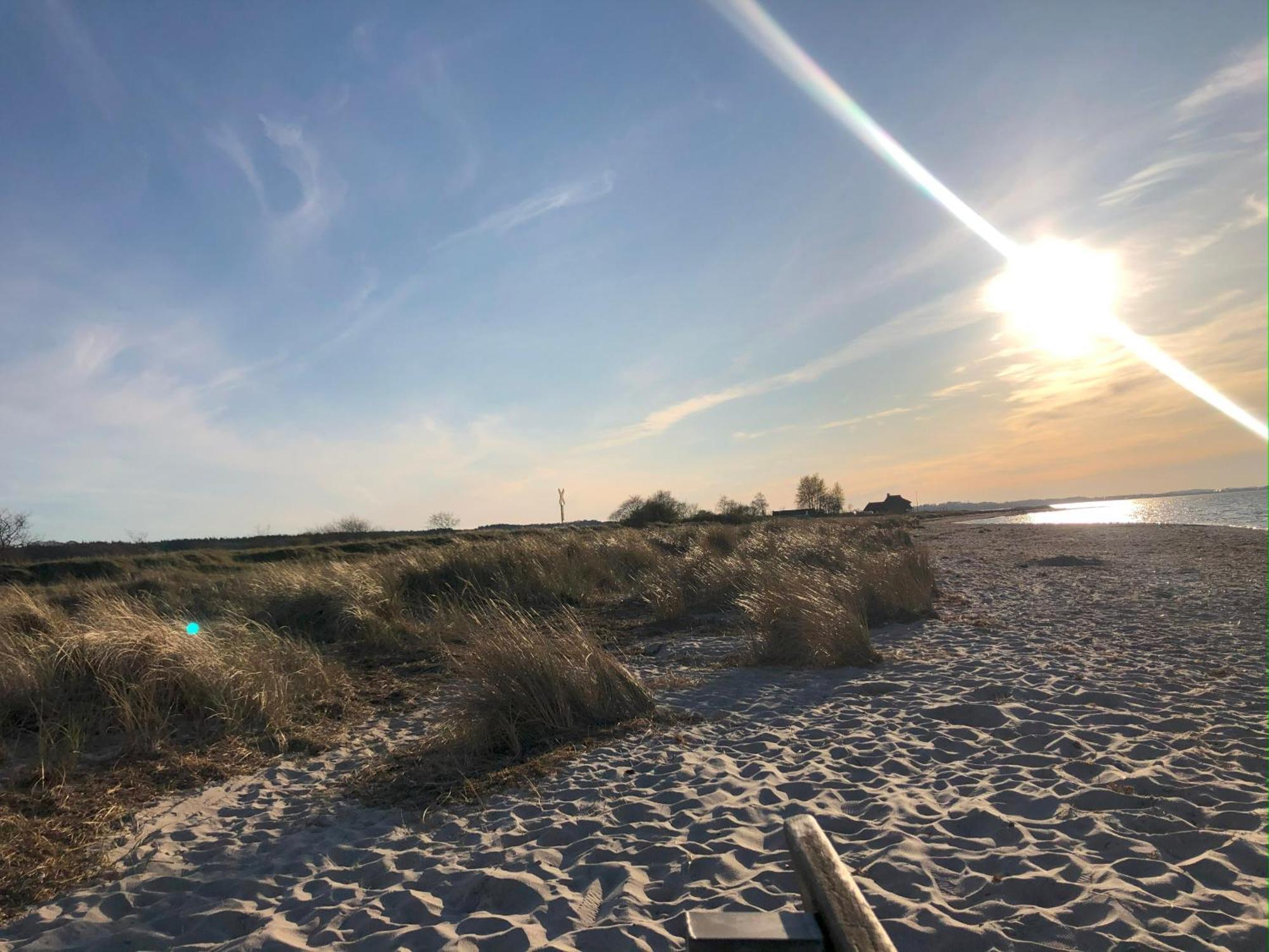 Neue Ferienwohnung An Der Ostsee,Terrasse,Sauna Surendorf Bagian luar foto