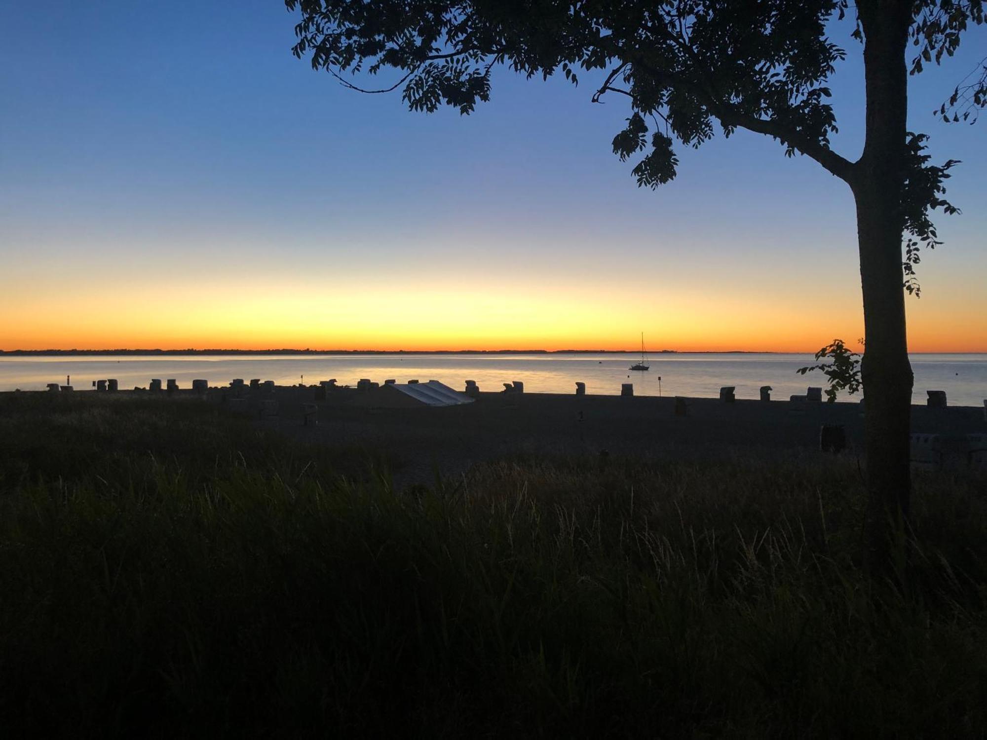 Neue Ferienwohnung An Der Ostsee,Terrasse,Sauna Surendorf Bagian luar foto
