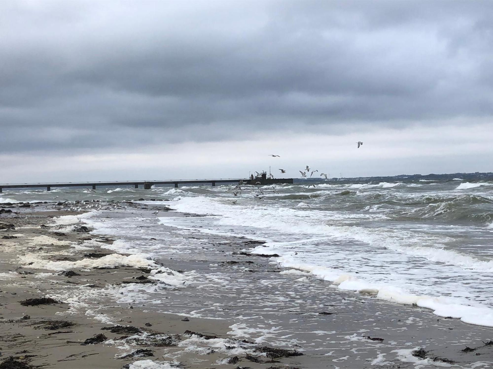 Neue Ferienwohnung An Der Ostsee,Terrasse,Sauna Surendorf Bagian luar foto